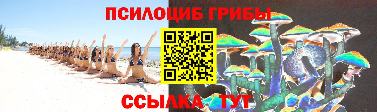 где купить наркоту  Вход с VPN  Реутов  Псилоцибиновые грибы прущие грибы 